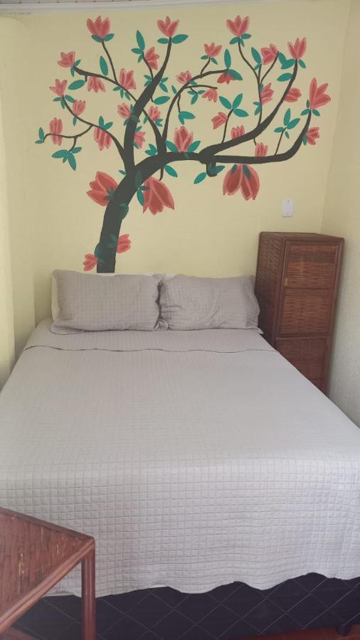 סלבאדור Hostel Sol Da Barra מראה חיצוני תמונה