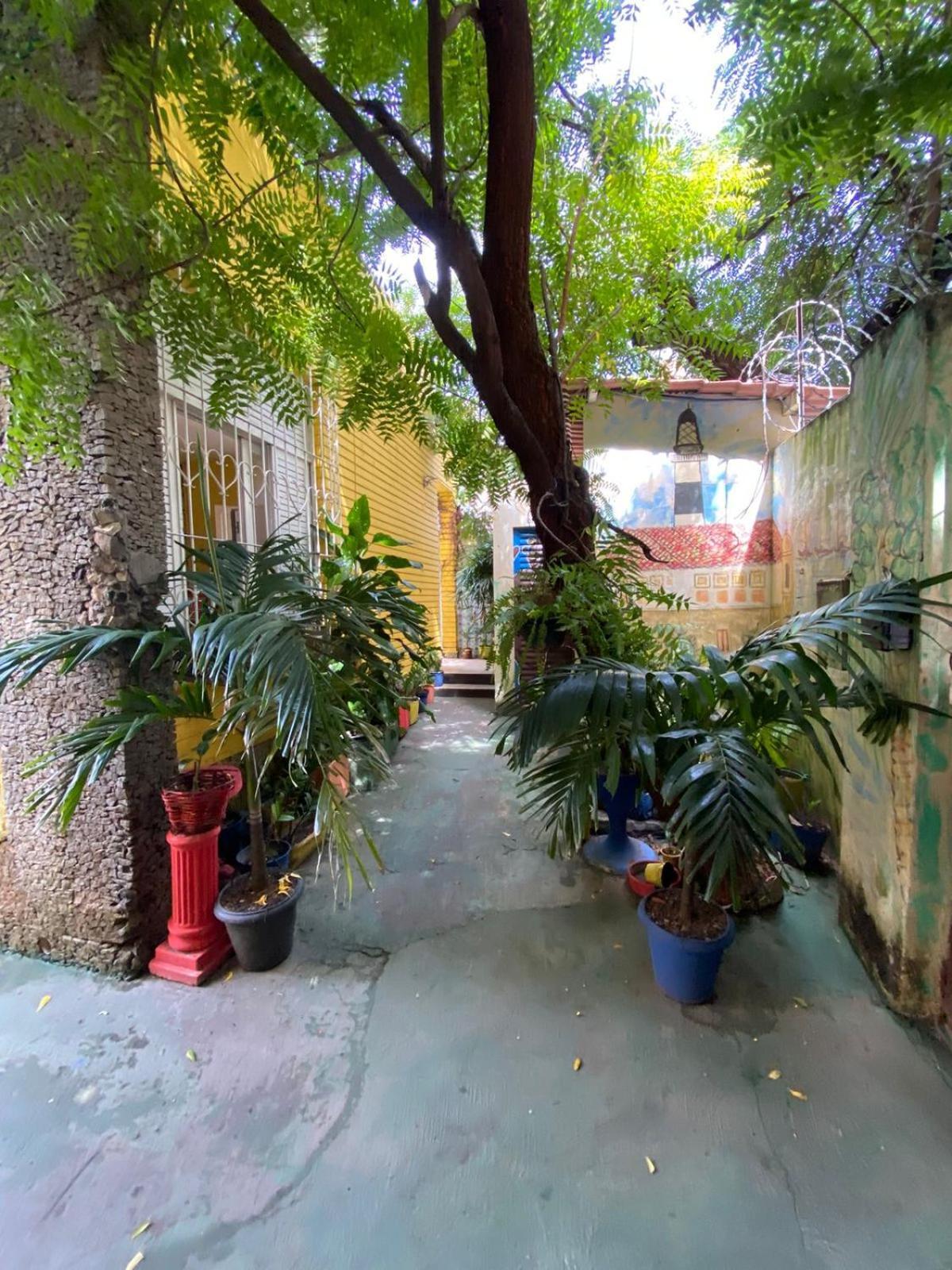 סלבאדור Hostel Sol Da Barra מראה חיצוני תמונה